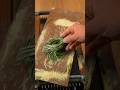Homemade Green spinach spaghetti Chitarra #ASMR #spgahetti #pasta