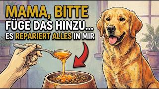 Wenn Sie Dies Ins Hundefutter Geben, Behebt Es Fast Alles & Macht Ihren Hund Glücklicher