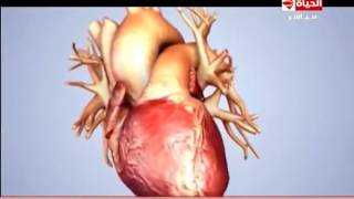 العيادة - د/جمال شعبان أستاذ أمراض القلب - فيديو يوضح تأثير التدخين على القلب  - the clinic