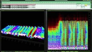 Spectrogram