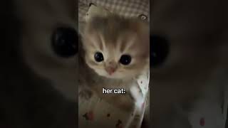 funny vid