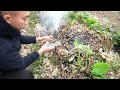 Beginning of video