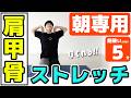 【朝専用5分】肩甲骨まわりを動かしてほぐすストレッチ
