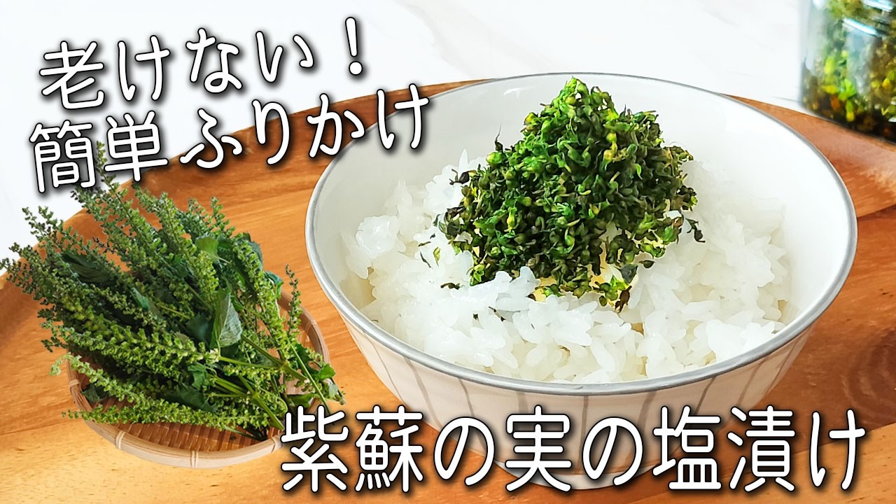 【しその実の塩漬け】プチプチ食感でご飯が最高!塩だけで超簡単☆ 長期保存できる 健康ふりかけ アレンジ3品
