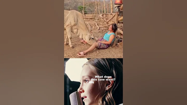 So Funny!  || Best Funny Clips Short 2 #memesfromhole #funny #trendcomedy