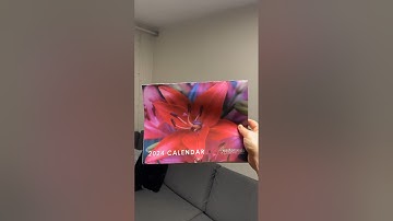 punching a random object everyday- day 155