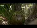 Earth's Most Unique Island Life | BBC Earth