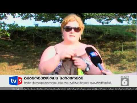 ახალი 6 | გუბერნატორის საჩუქრები | 07.08.12