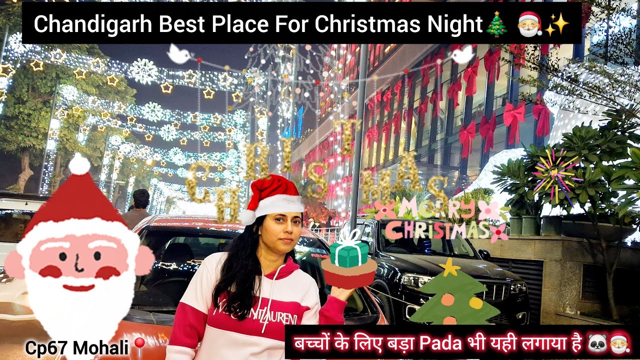 Chandigarh Best Place For Christmas Celebration 🎅 🎄| Cp67 Mohali 📍 