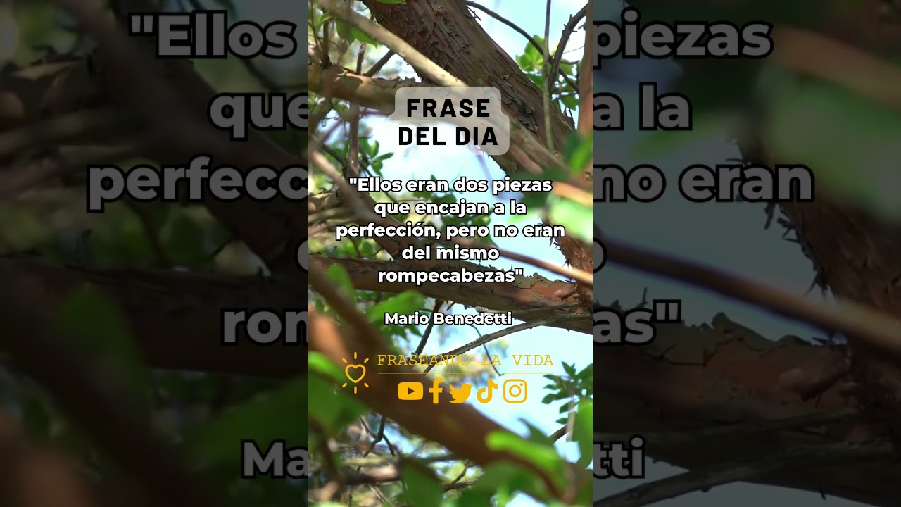 Un amor que pudo ser, pero nunca fue.