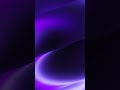 Purple Abstract Liquid Glass 4K - Minimalist Loop