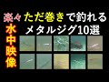 巻くだけで釣れてしまうメタルジグ10選　動きがわかる水中映像　【ライトショアジギング】