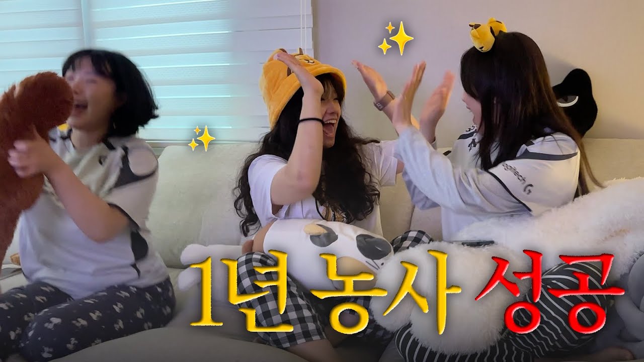 우승했어요 우리 (2025 LCK 결승 젠지vs한화)