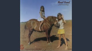 Video thumbnail of "Neal Casal - Angels on Hold (Band Version)"