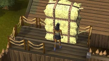 Me Getting Agile Top