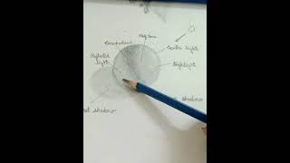 Shading light and form-Basic