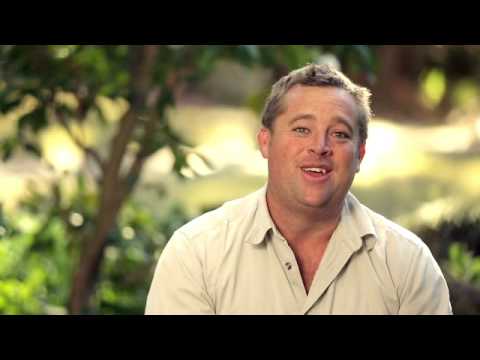 citrusiniai How to: Growing vegetables from seed | Yates Gardening