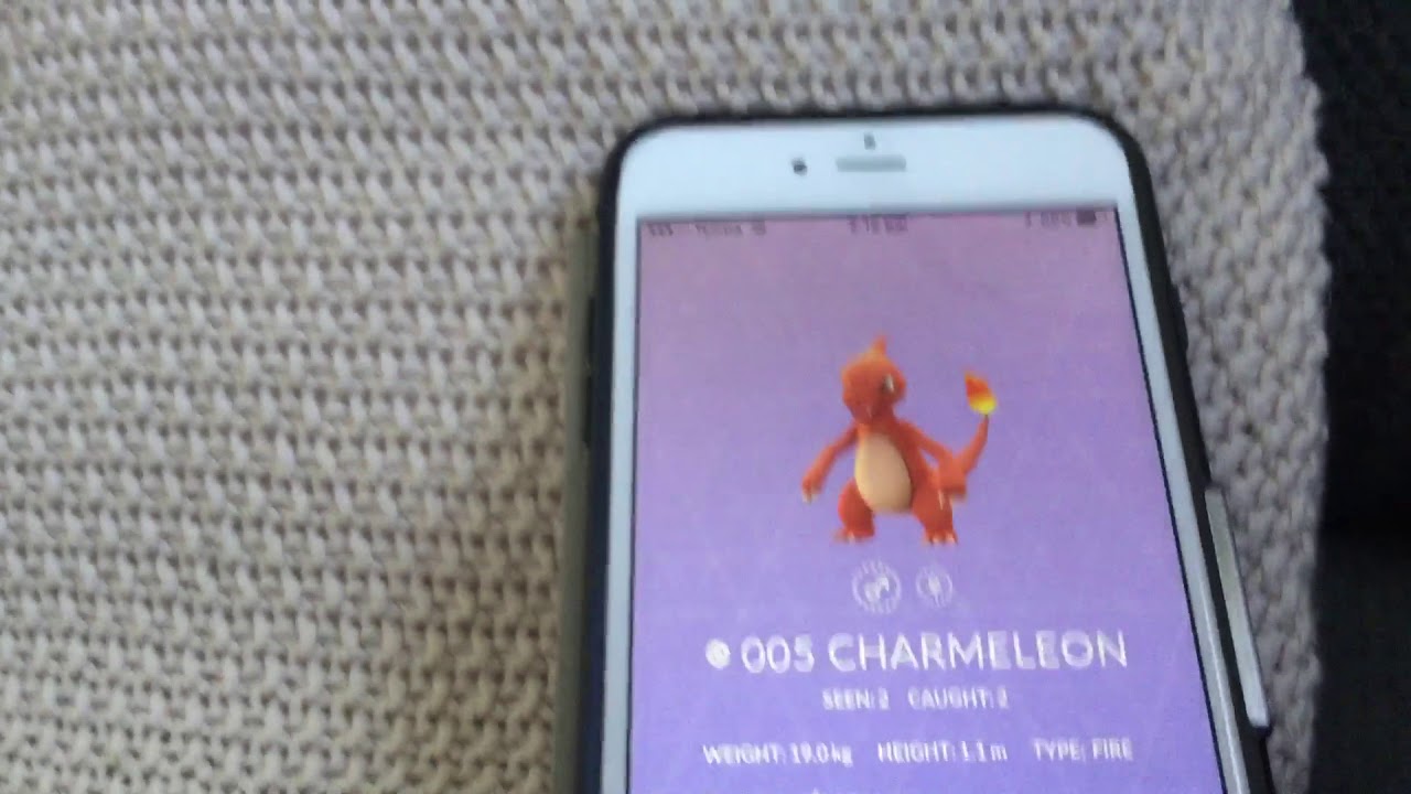 Pokémon Go Scary Glitch