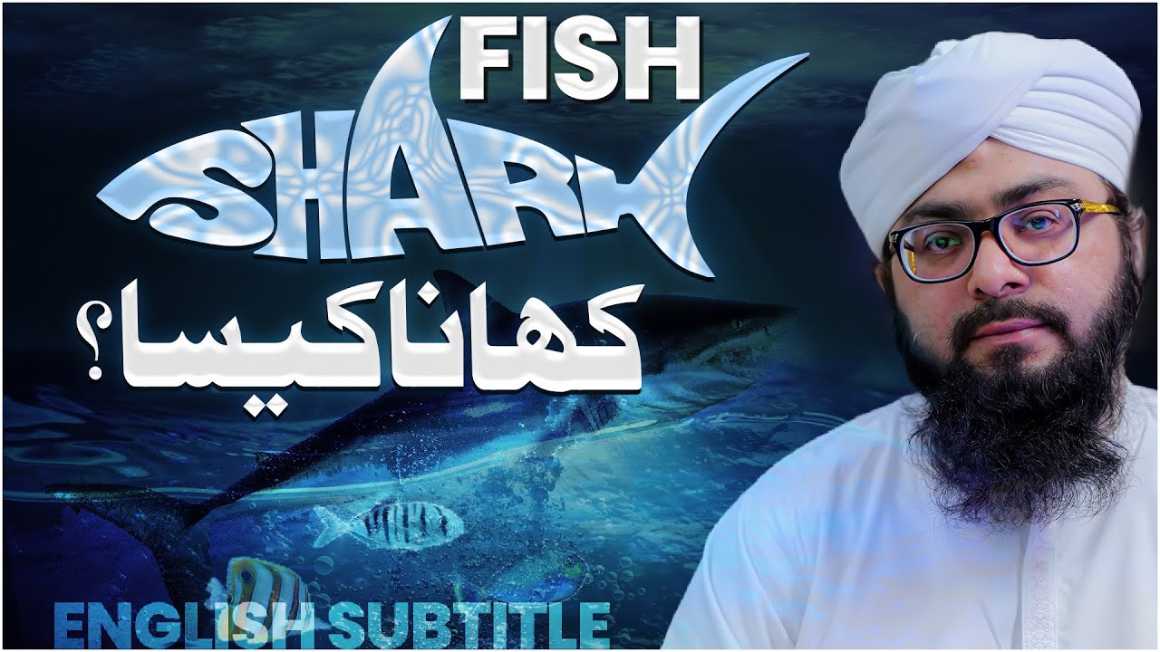 Shark Fish Khana Kaisa? | Shark Machli Halal Hai? | Mufti Hassan Attari | Darulifta Ahlesunnat