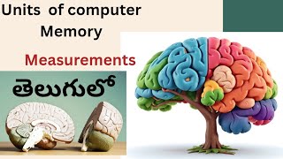 Units of computer memory 