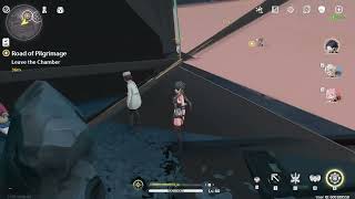 you good bro? (wuthering waves)