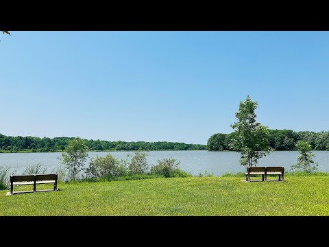 Camera Tapping Hand Sounds ASMR At The Lake
