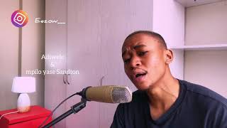 Adiwele   Young Stunna  Impilo Yasesandton   Thabiso Lavish  Mash Up  