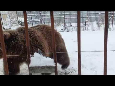 Видео а что мне за это будет. Видео а что мне за это будет. Видео а что мне за это будет. Видео а что мне за это будет. Видео а что мне за это будет.