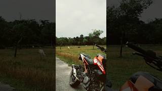 #duke250🔥#bs4🔥 #shortsfeed #youtubeshorts #ktmduke250cc #superduke1290gt #viralvideo ##bs4🔥