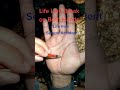 Life line break on both hand sever accident life risk#palmistry #shorts #palmist #palmreadings #life