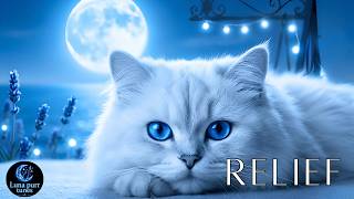 Deep Sleep Therapy: Continuous Cat Purring for Insomnia π Calm Ambient Music for Stress Relief