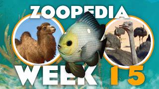 🐟 Damselfish in Distress! | Zoopedia Drop #15 | Planet Zoo 2