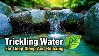 The gentle sound of flowing water lulls one into a deep sleep.