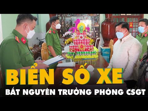 Video Sai phạm cấp biển số xe, bắt nguyên trưởng phòng cảnh... - youtube