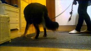 Tilla 4 Leke Så Godbit