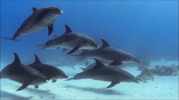 What Are the Factors That Motivate Patients With COPD to Be Physically Active? (2018 Medical Study)