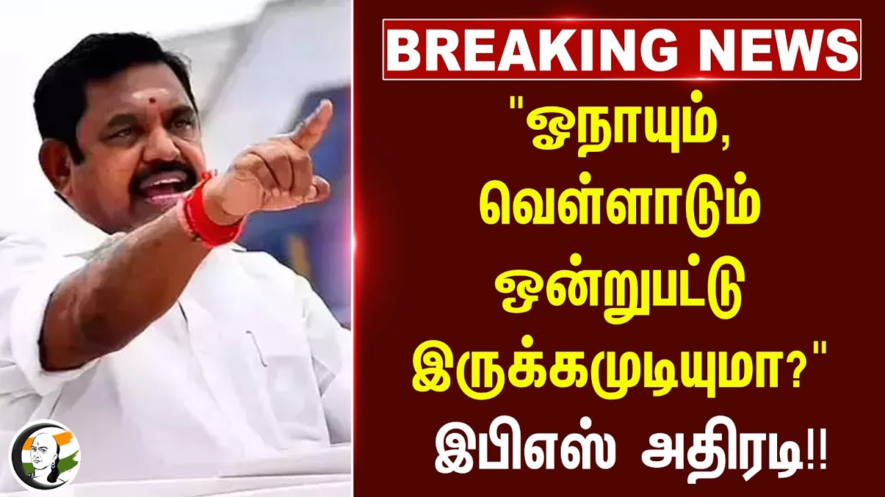 #breakingnews : "ஓநாயும், வெள்ளாடும் ஒன்றுபட்டு இருக்கமுடியுமா?".. EPS அதிரடி! | OPS | ADMK