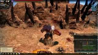 Vindictus - Glitch #3