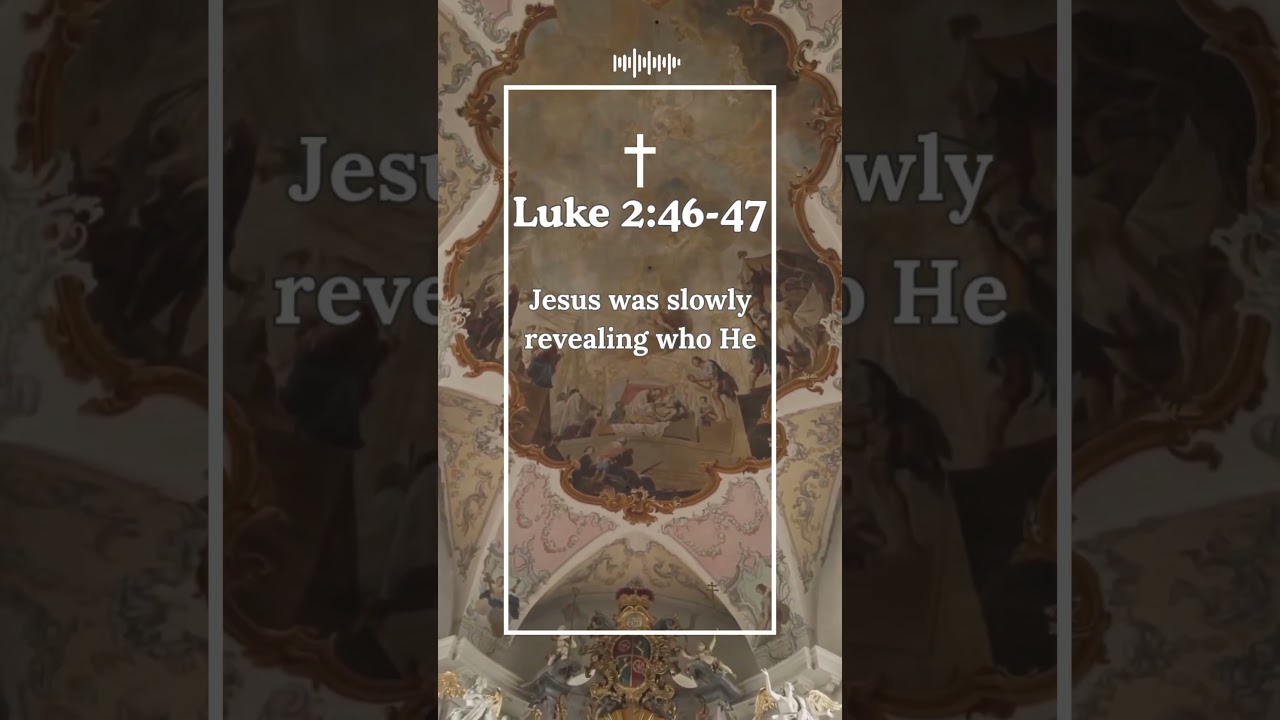 Respond to Jesus' revelation with amazement and proclamation 📖 Luke 