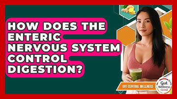 How Does The Enteric Nervous System Control Digestion? - Gut Wellness Central
