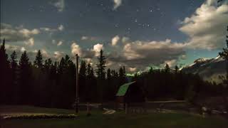 Aurora, clouds, stars and deer