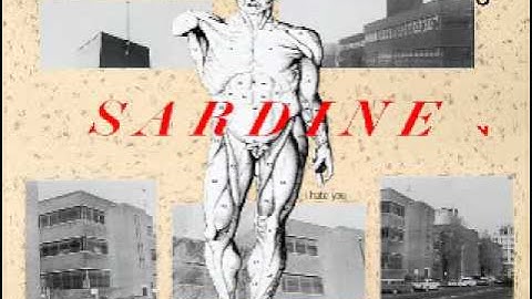 Sardine v - Minutes (1983)