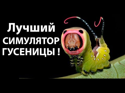Видео: Лучший симулятор гусеницы ! ( Drunk On Nectar )