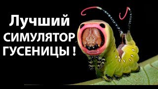 Лучший симулятор гусеницы ! ( Drunk On Nectar )