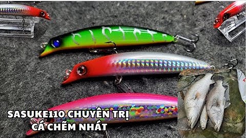 Mồi câu cá Chẽm, cá Mú, cá Nhồng Sasuke110mm, Mồi giả câu cá nhạy cá | Đồ Câu Cá T3 |