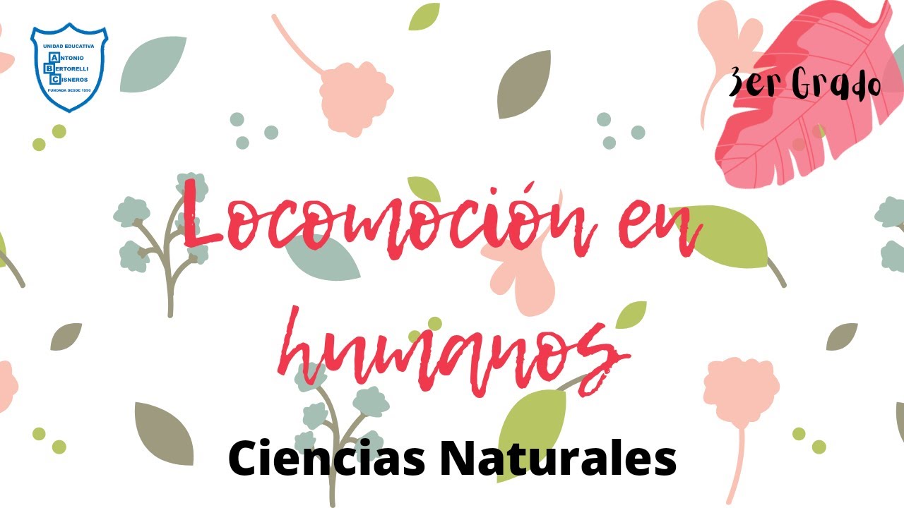 Locomoción en humanos