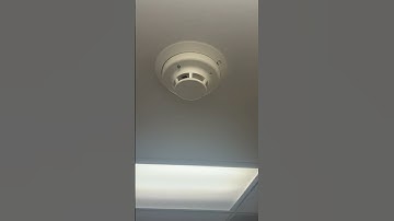 System sensor 13 smoke dector