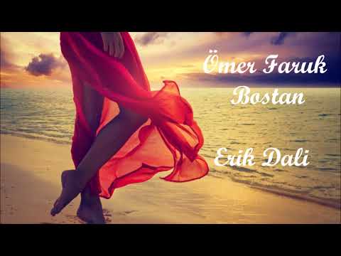 Ömer Faruk Bostan Erik Dali مترجمة للعربية عمر فاروق بسطان اغنية تركية 