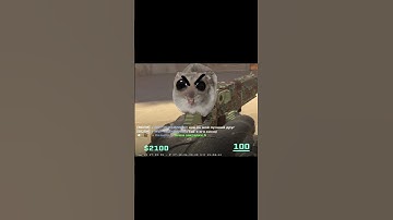 CS2 Cheats? What? XD #csgo #cs2 #gaming