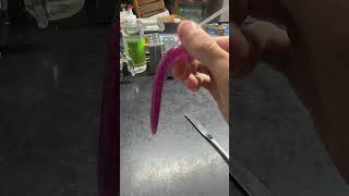 Doing a durability test with a midnight purple 5” stick bait